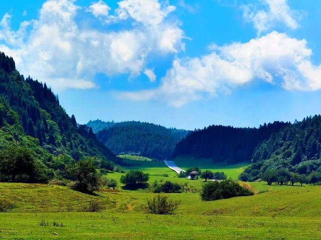 达州青青草原风景区图片