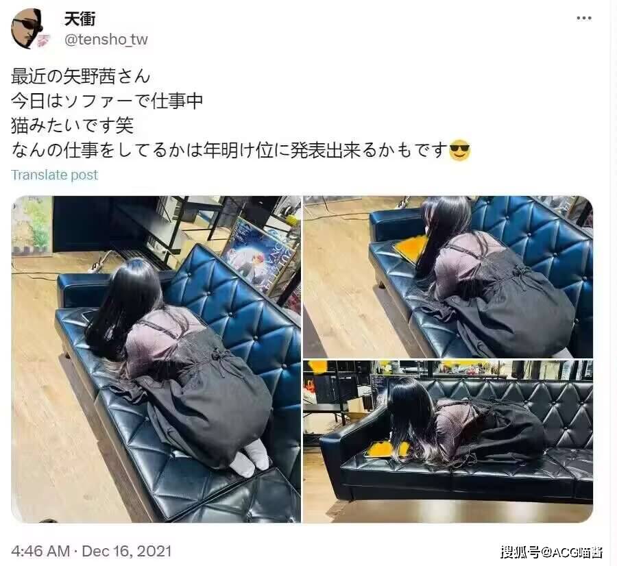 "雏鹤爱"这个角色是出自日本动漫《龙王的工作》,这是一部根据轻小说