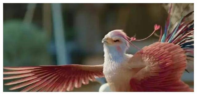 《掀起凤行风潮:小凤凰表情包的文化影响,热门背后》_互动_观众们