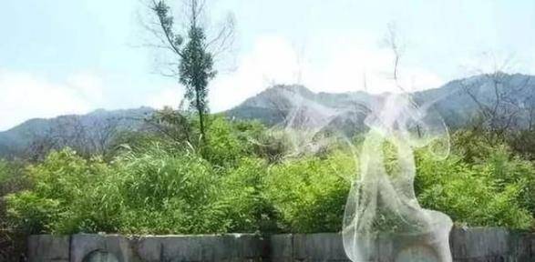 原创湖北老人发现祖坟冒出青烟考古学者勘查后为何命令立即封山