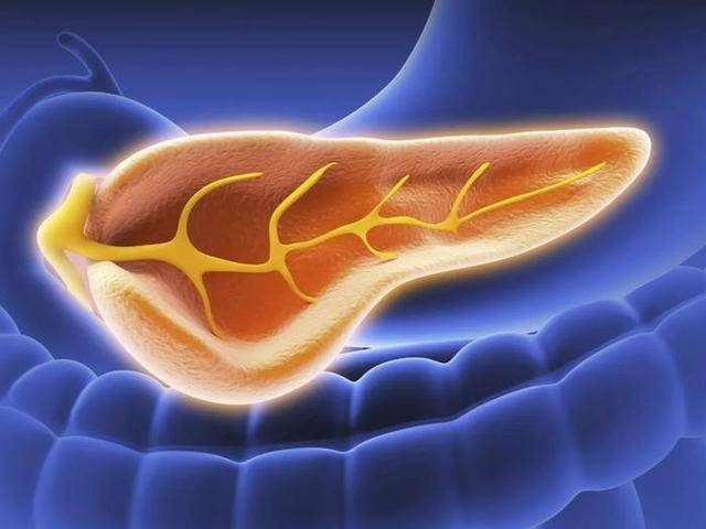 原创胰腺有癌吃饭先知吃饭时出现4个表现警惕是胰腺癌信号