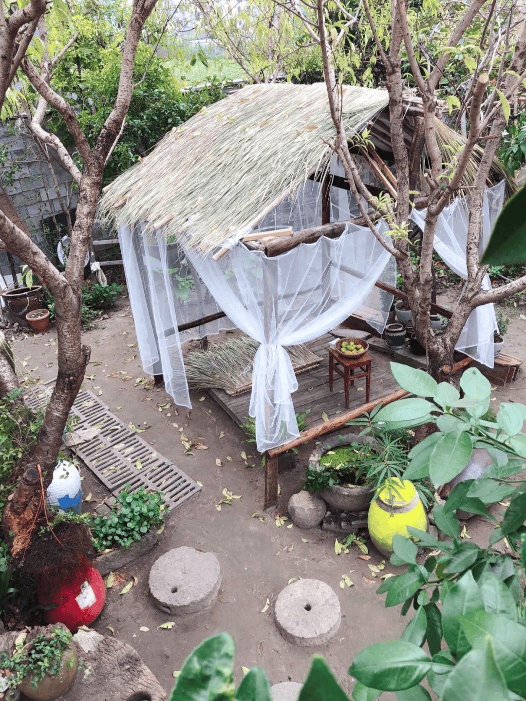 断更3年再看李子柒的视频我才发现那个仙境是照骗