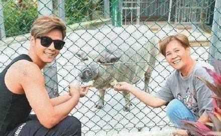 原创原创女儿们的恋爱中七夕送猪环节罗志祥却被cue到上热搜