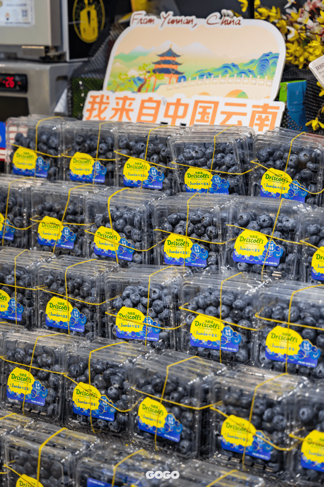 由国际百年浆果品牌driscolls出品,全程冷链运输,品质新鲜的driscoll