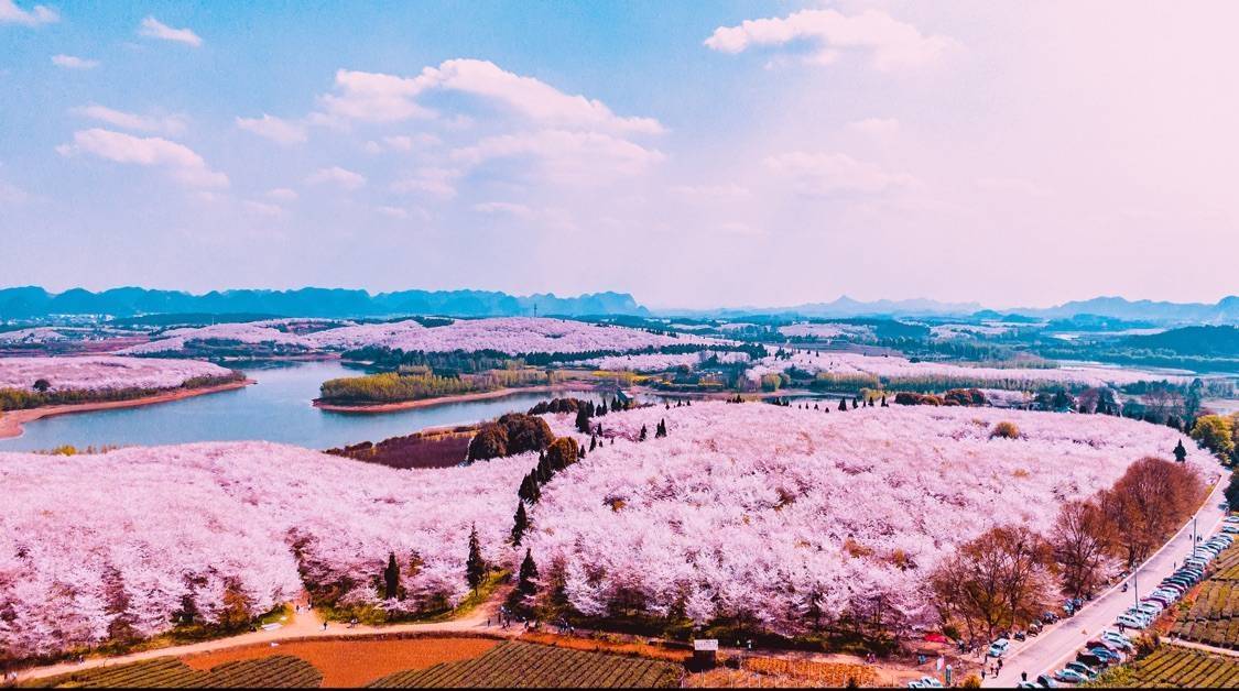 大河苗察--住安顺day2:贵阳--织金洞-------织金大峡谷----住安顺day1