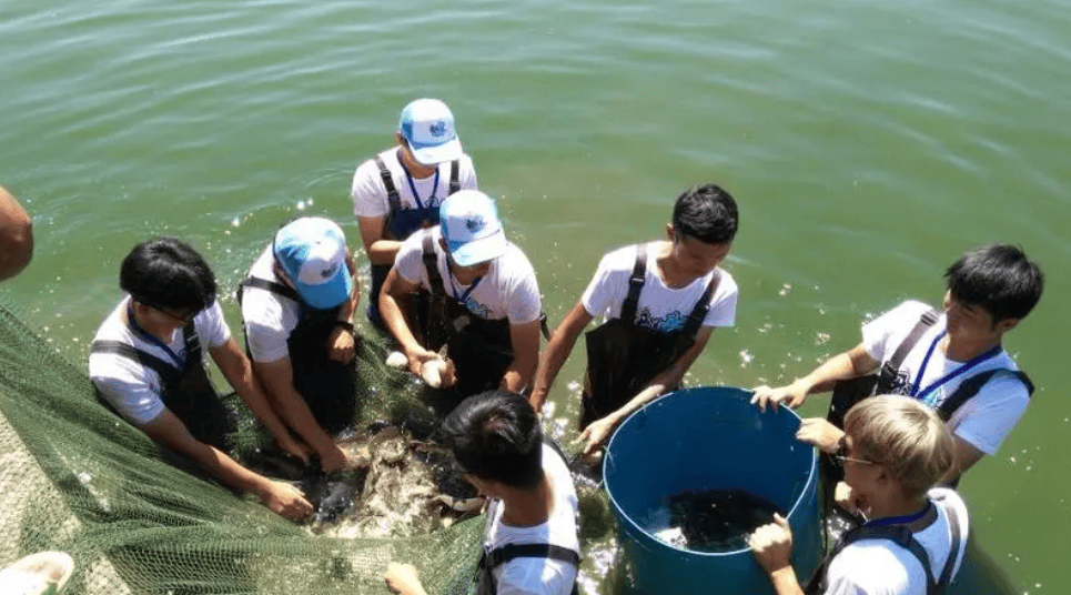 水产养殖技术员证书怎么考?报名需要什么条件？证书作用？