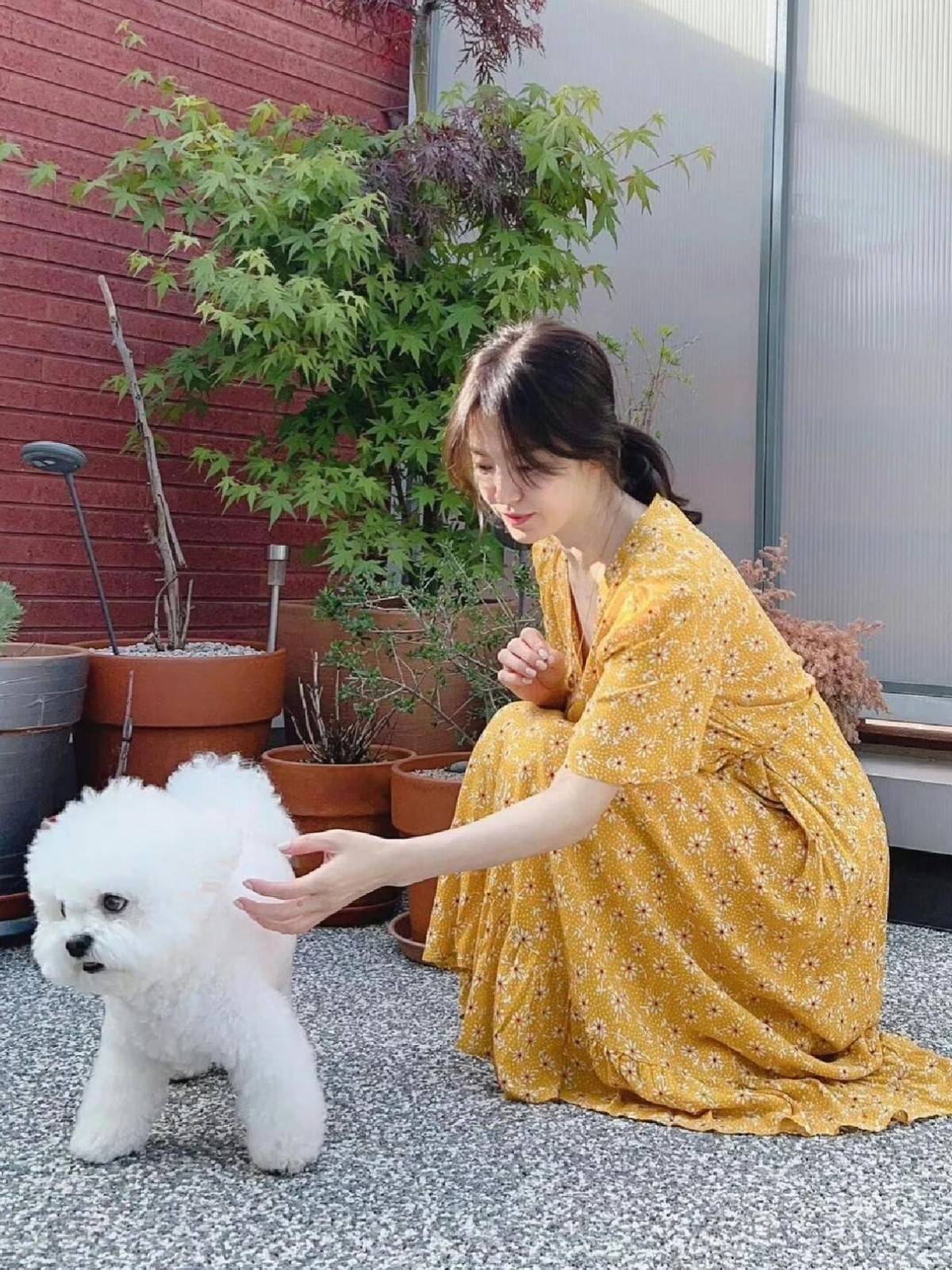 原创宋慧乔遛狗带火了一种新穿法碎花裙棒球帽拖鞋时髦又洋气