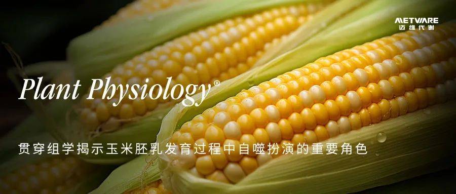 项目文章转录代谢揭示干旱对中药苦豆子活性物质的影响