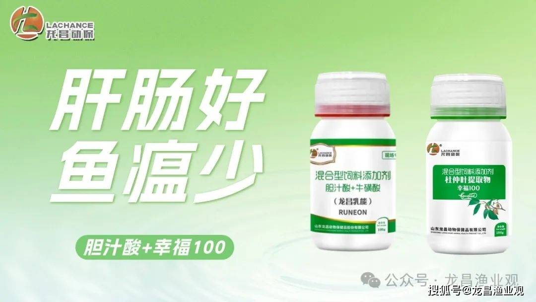鲫鱼草鱼高发红嘴烂嘴烂身是淡水鱼新型鱼瘟
