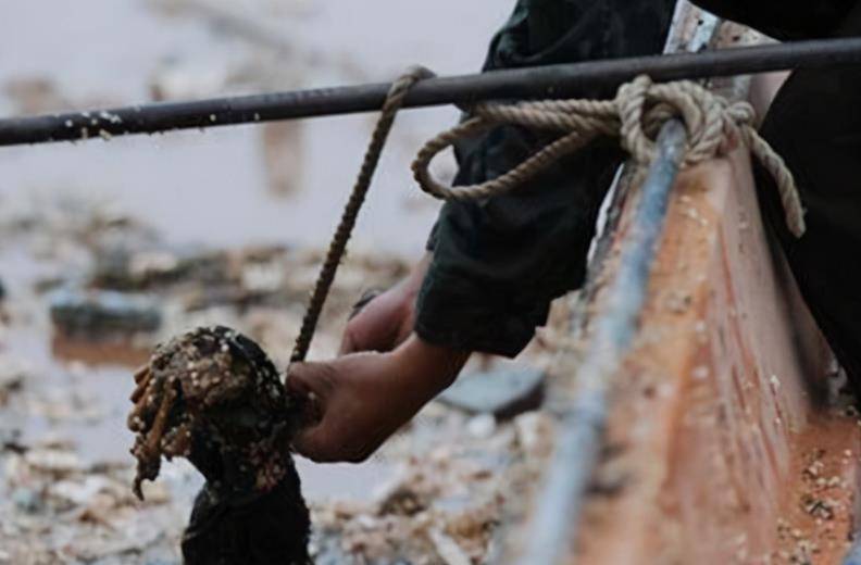 长江的守护者捞尸人:不信鬼神,只是敬畏生命_陈阳喜_尸体_打捞