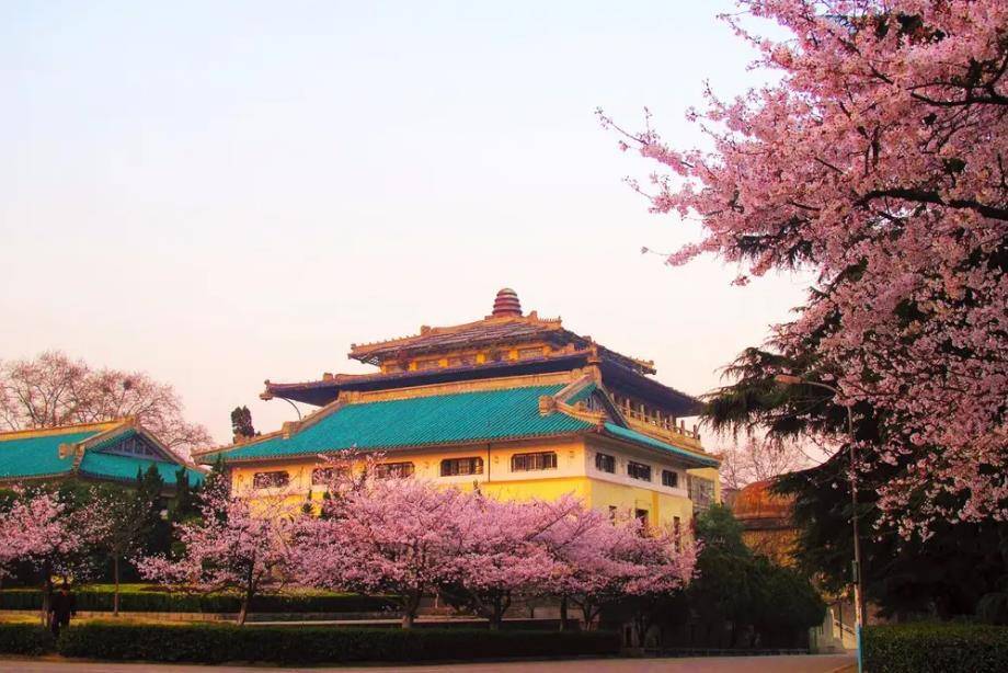 2020年湖北高考状元725分语文成绩十年难遇7岁豪言结果成真