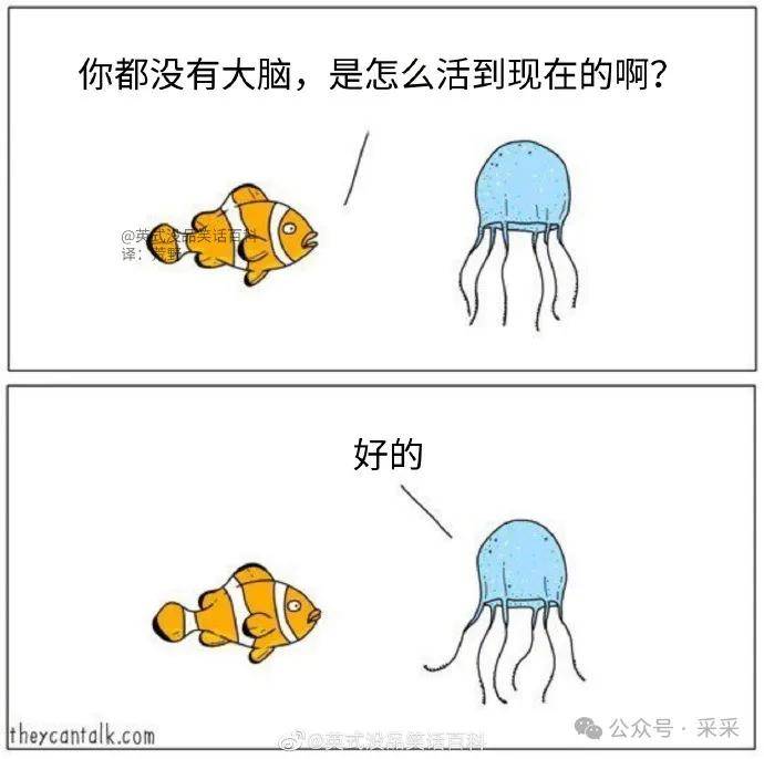 囧图卡通表情包图片