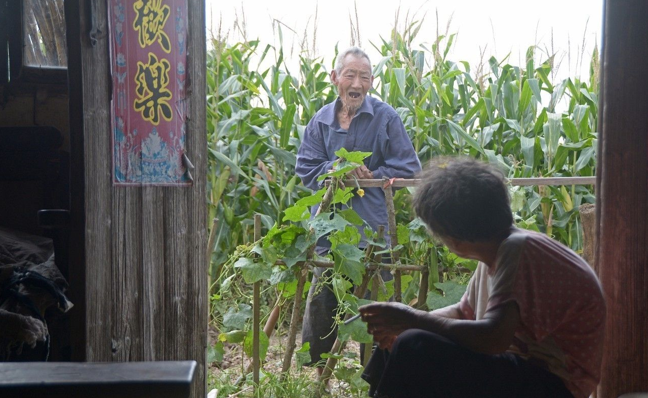 种地照片老农民图片