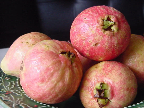 原创这果子成熟时香味能飘百米农村娃最爱吃北方人大多没吃过