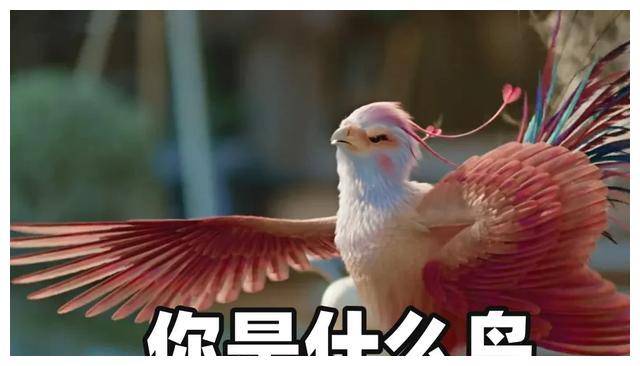 的了解逐渐深入他是个身无分文可会算命的"算命先生",暖心但有颗冰石