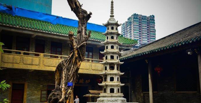 广州这座寺庙,为达摩祖师所建,资历比少林寺还老,却少有人知_西来庵