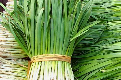 原创老菜农教你挑韭菜看到这2种白送都不要现在知道正是时候