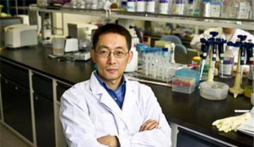 原创蒋国兵辞去清华教授跑外国做油漆工因不堪忍受压力跳桥自尽