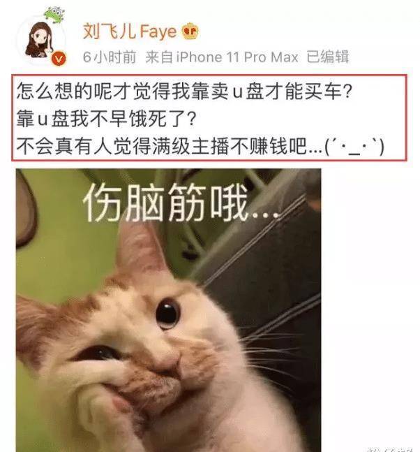 给妈妈买房又买车靠卖u盘赚了多少刘飞儿自曝挣了80多万