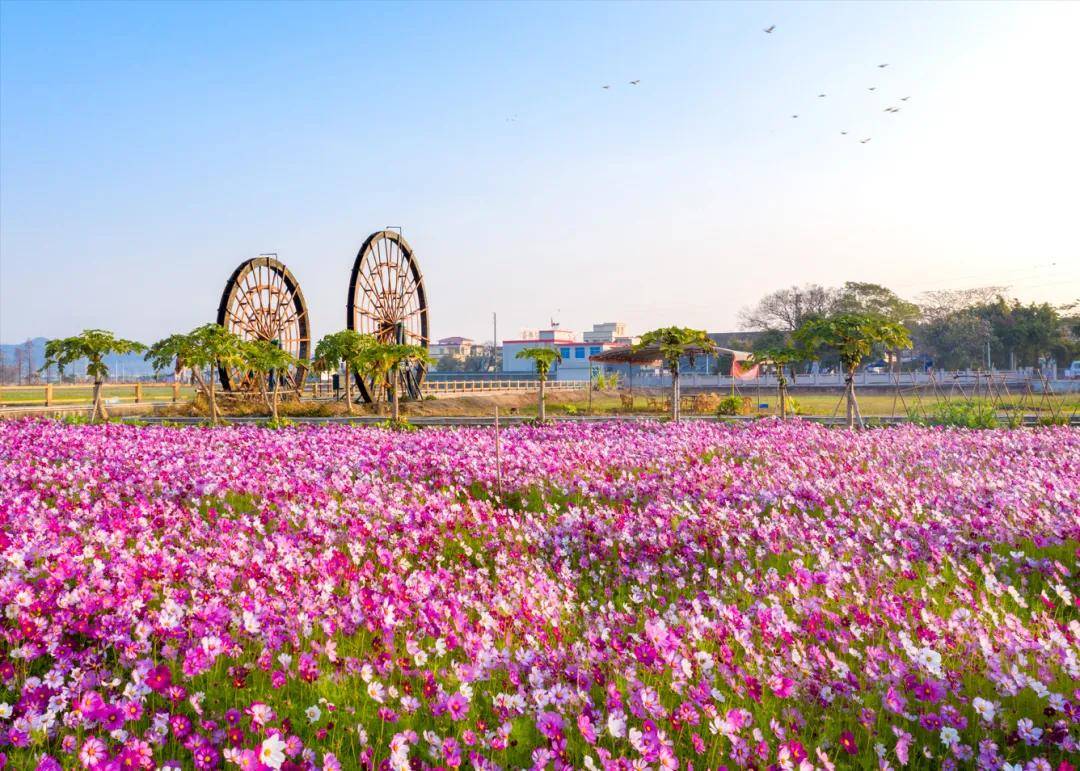 官宣2024中山翠亨环岛马拉松15万人规模定档4月21日开赛报名在即