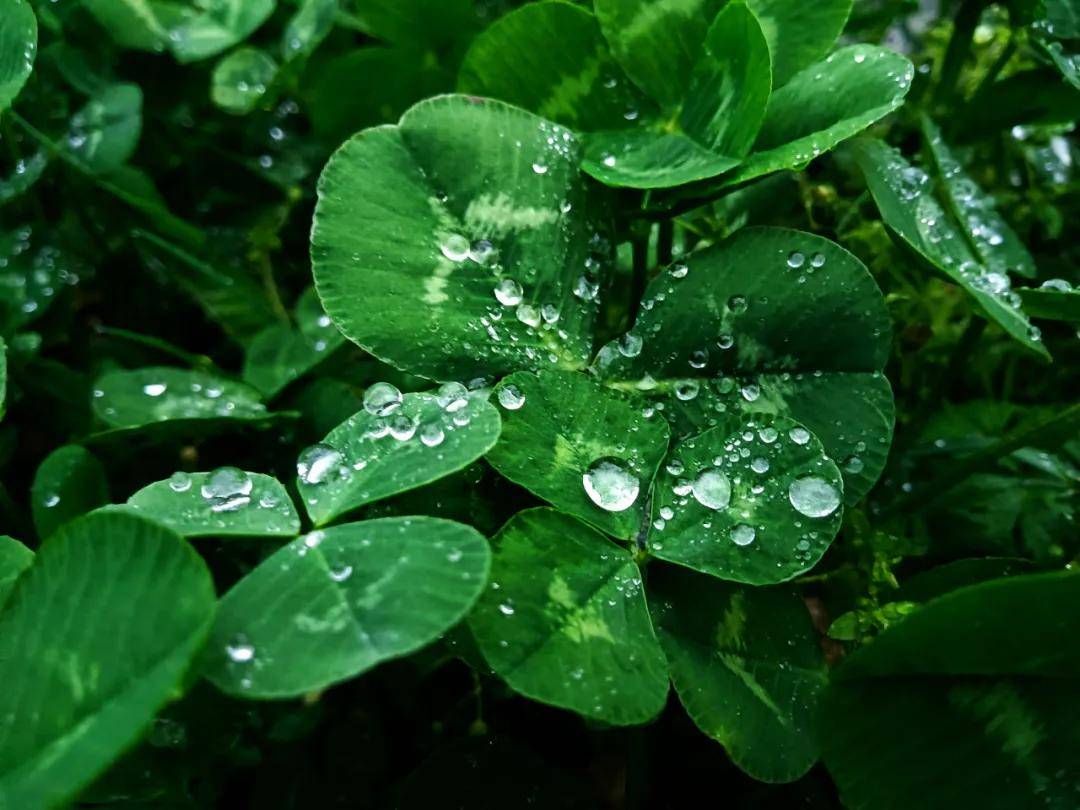 随笔:好在日子也有光啊_春雨_孙女_公众