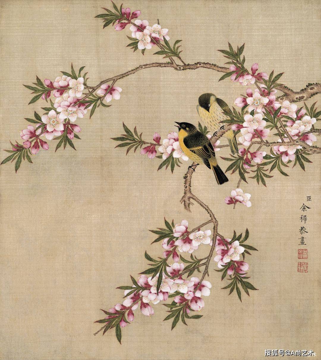 历代名画 // 清 · 余穉 花鸟图高清范本