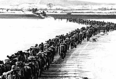 原创美国一个黑人连队整建制投降导致美国撤销番号修改军规