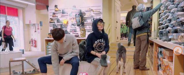 原创《花少2》:口是心非的姐妹花们_井柏然_许晴_杨洋