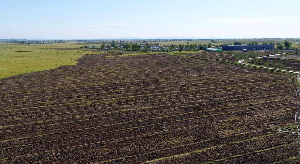 在地球上有三大黑土带,分别是中国东北,美国密西西比平原以及乌克兰.