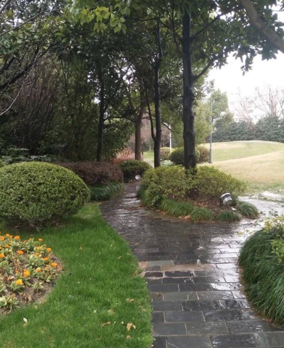 原创上海徐家汇宜山路小花园好美啊