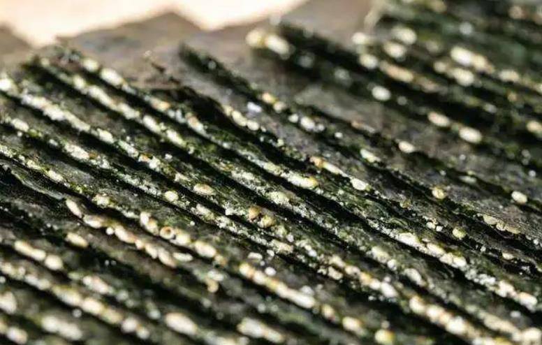 泰国18岁落魄富二代,靠卖海苔2年内赚4000万,21岁身价上亿_伊提帕