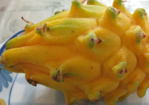 原创价格昂贵的6种水果一般人吃不起敢买的都是土豪