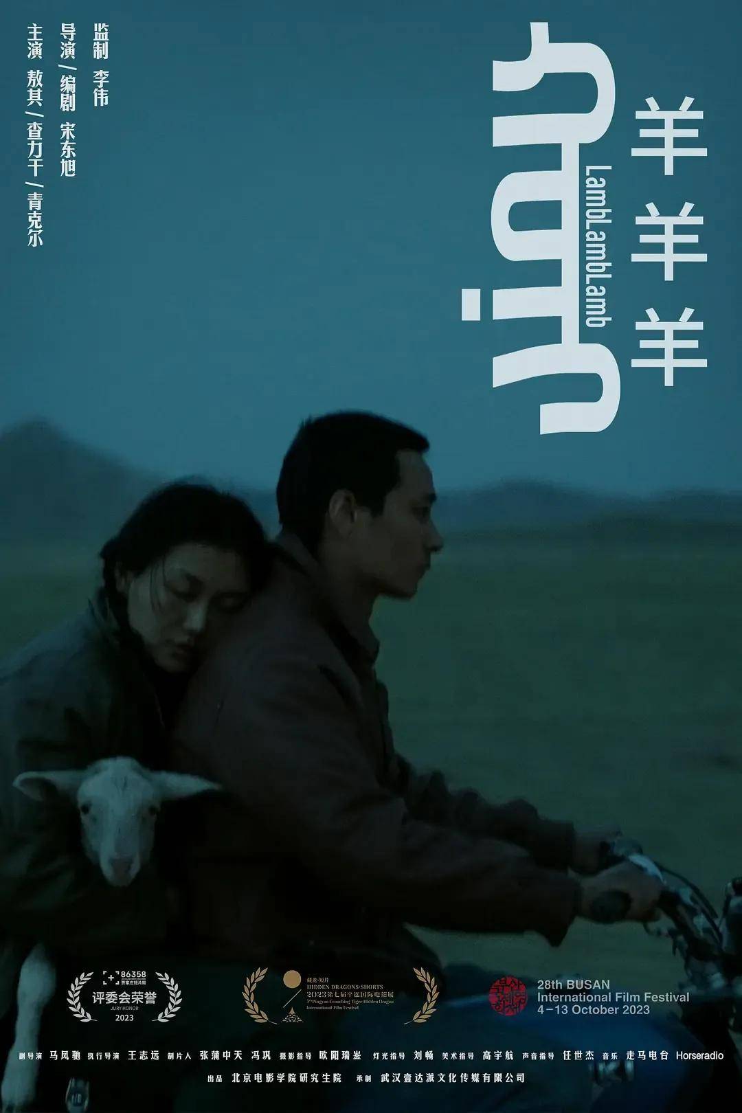 29thbiffb类釜山国际电影节征片