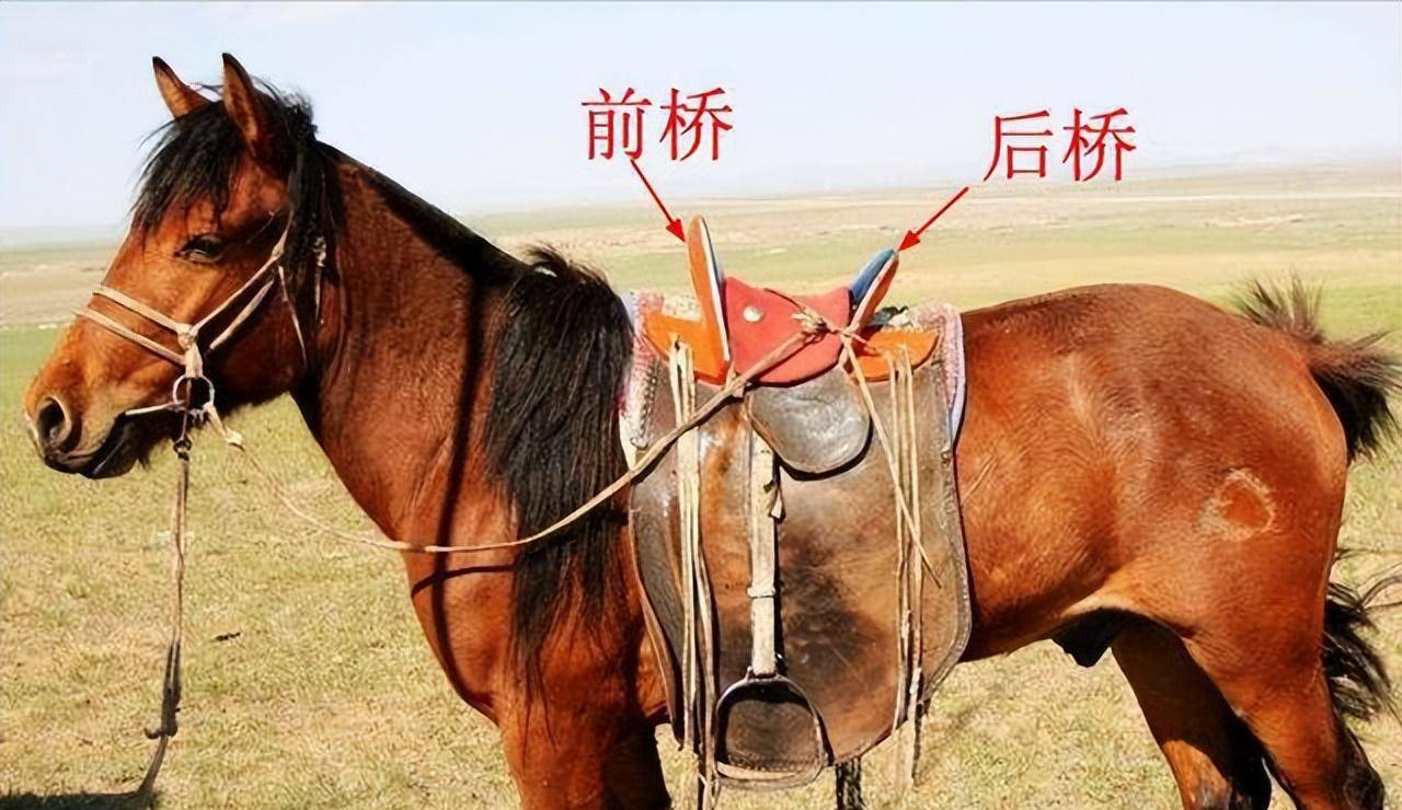 原创传说中的蒙古铁骑有多强为什么朱元璋能轻易胜之