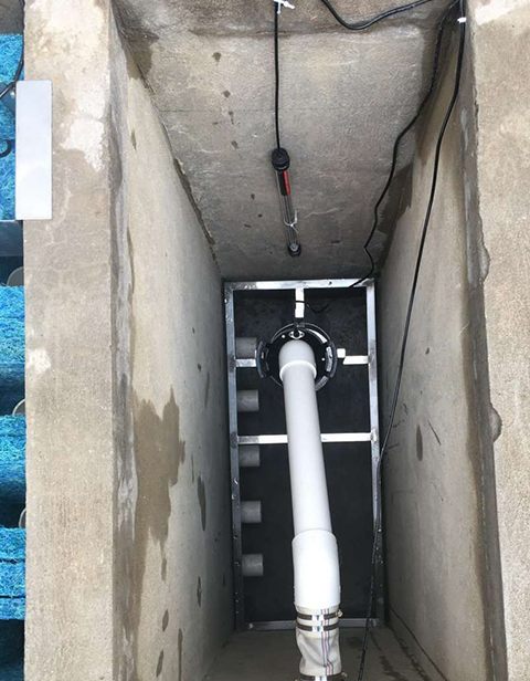 原创室外30吨锦鲤池的建设过程想借鉴的不要错过