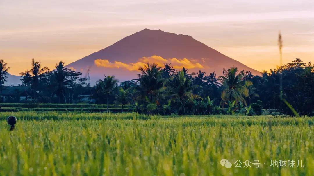 原创全球人口最多的岛屿爪哇岛只有13万平方公里为何居住了超15亿人