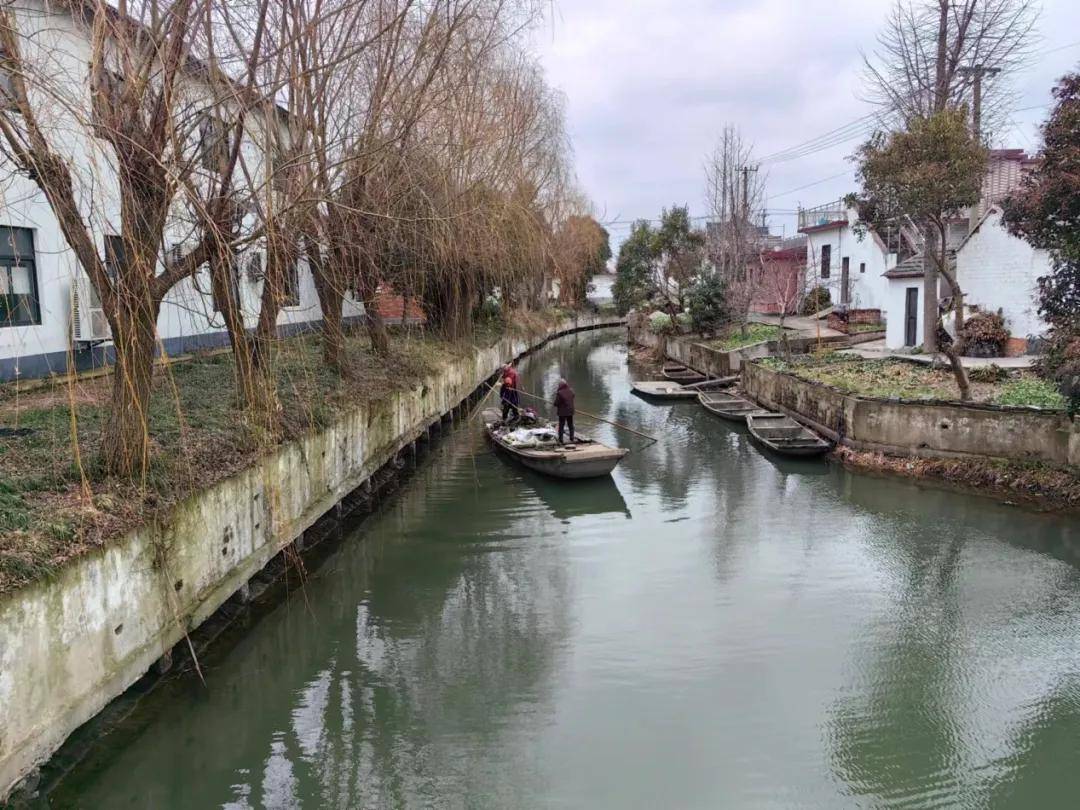 戴南镇徐唐村十里长河春光好