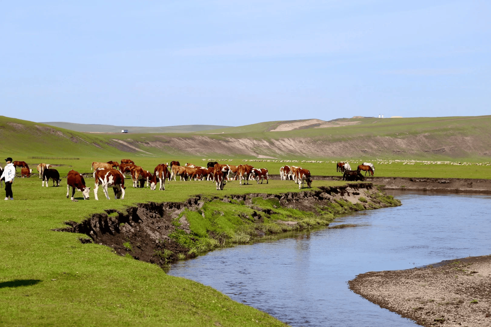 内蒙古呼伦贝尔游玩攻略安利!