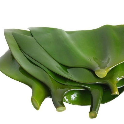 经常吃海带,不但能够防治甲状腺肿大,还能降低人体对胆固醇的吸收.