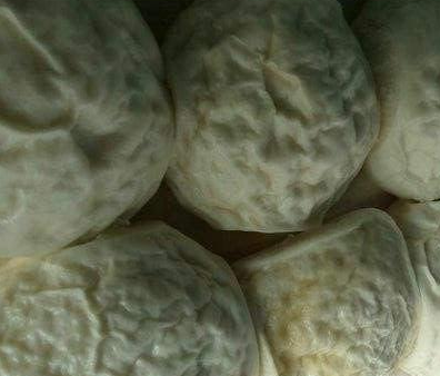 蒸馒头的时候,为什么会出现"死面馍"?一般逃不开这几个原因