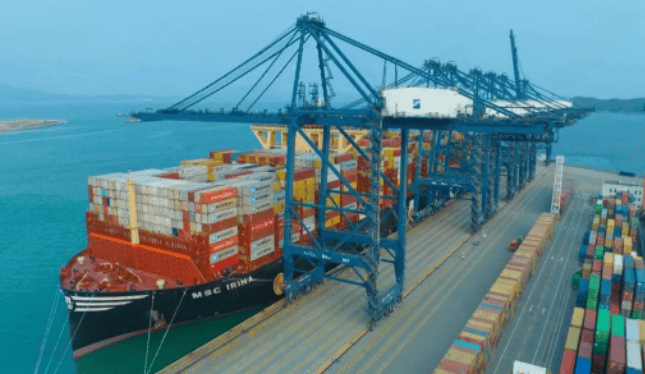 进出口海运订舱,拖车运输,中港物流,仓储配送等服务的广州椰糠砖进口