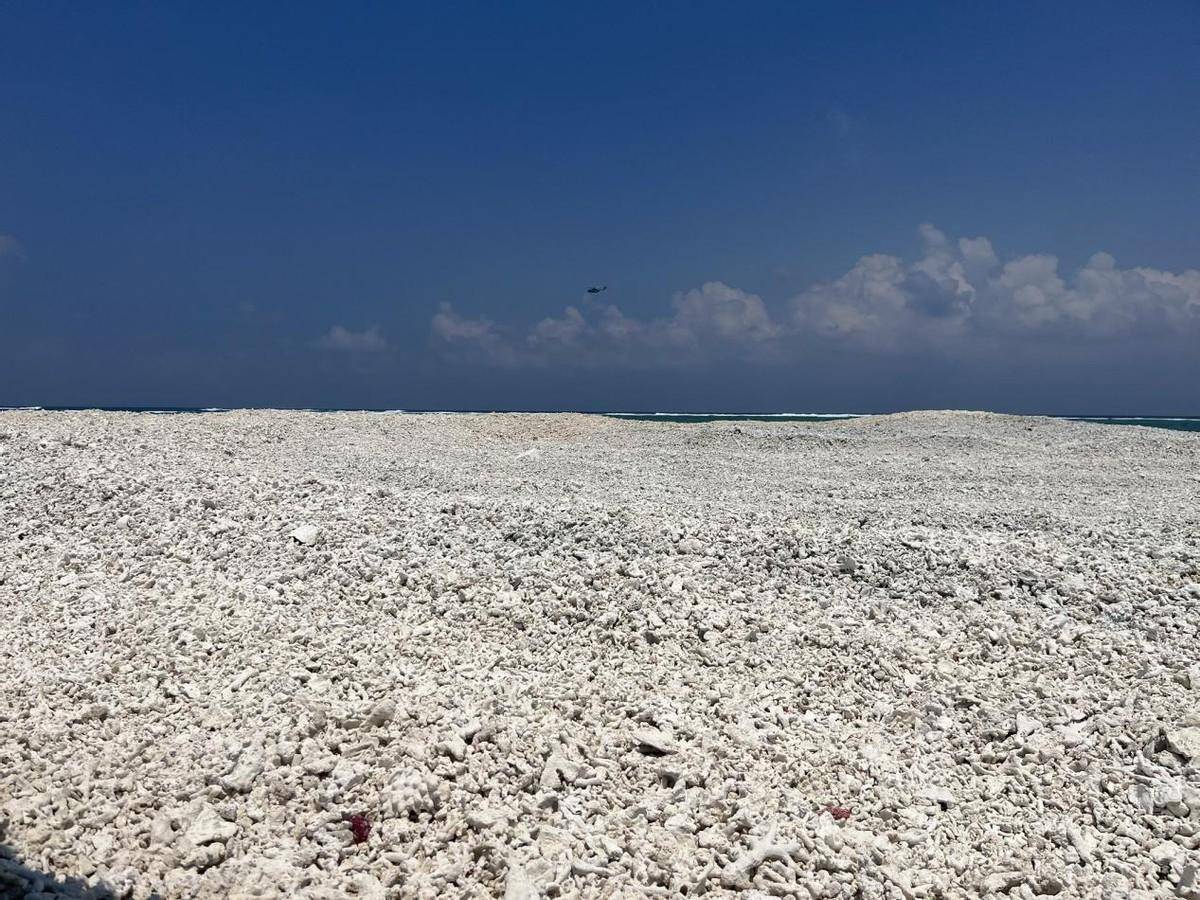 菲律宾挑衅被赶跑解放军在南海的重兵随时可以收复中业岛