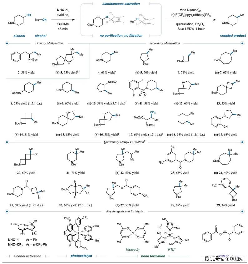 原创诺奖得主macmillan最新sciencesh2自由基分选实现醇醇交叉偶联