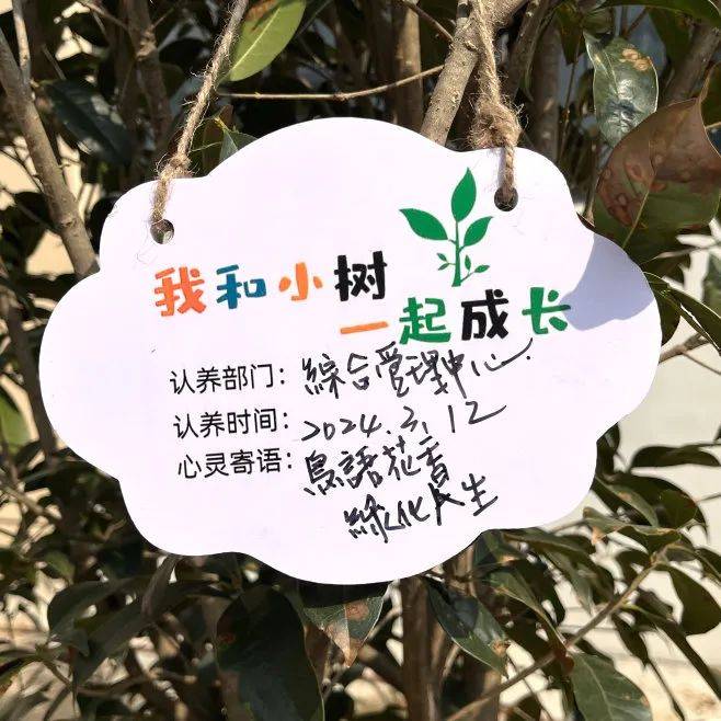 共植未来锋馥开展植树节绿色活动