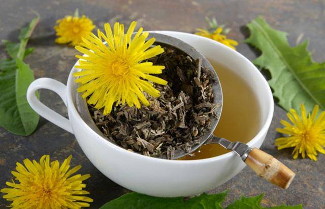 蒲公英可在48小时内杀死98%的癌细胞,科学还是谣言_治疗_抗癌_功效