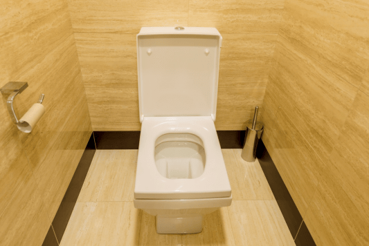 公用马桶能用吗做好这几点就是如厕护身符