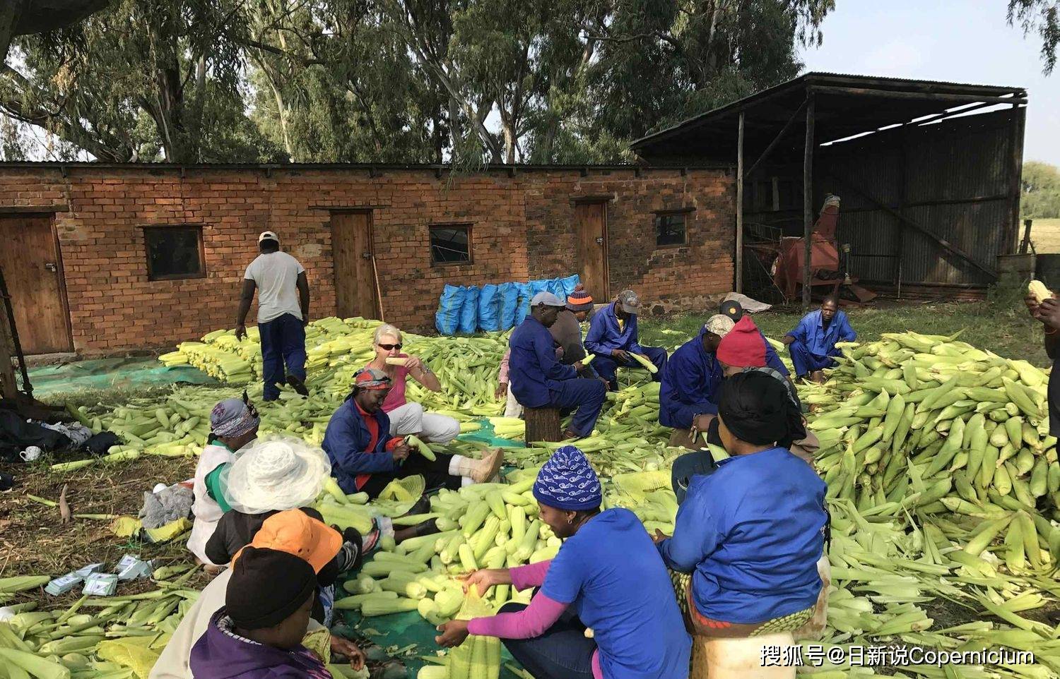 从乌克兰到巴勒斯坦粮食主权战争与跨国资本主义