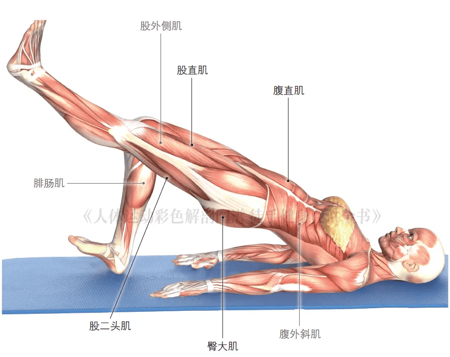 深蹲提膝左右侧各10次,共3组,每组包含3个动作.