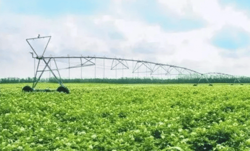 吉如意app打造农业发展平台推动产业高速发展