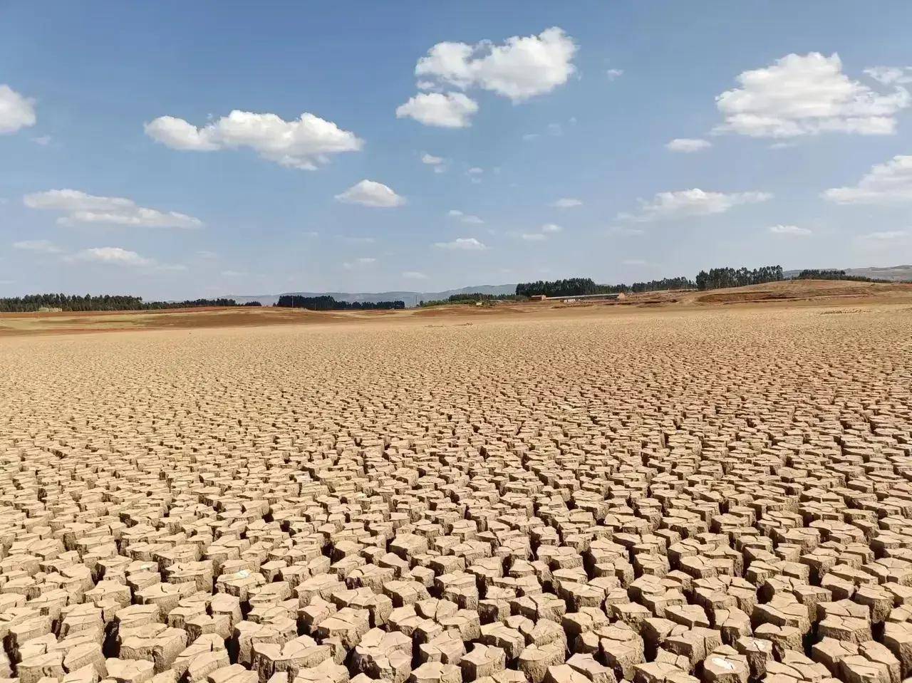 曲靖市陆良县水库枯竭淤泥皲裂 云南省春耕逢干旱调水迫在眉睫